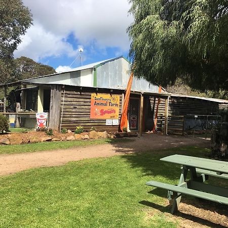 Sunflowers Animal Farm & Farmstay Margaret River Dış mekan fotoğraf