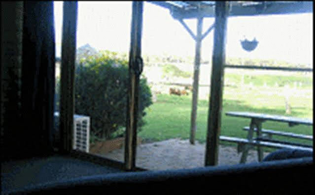 Sunflowers Animal Farm & Farmstay Margaret River Dış mekan fotoğraf